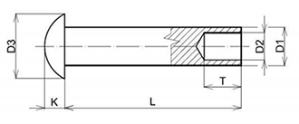 DIN 6791 Pan Head Semi-Tubular Rivet