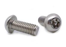 torx pin security screw